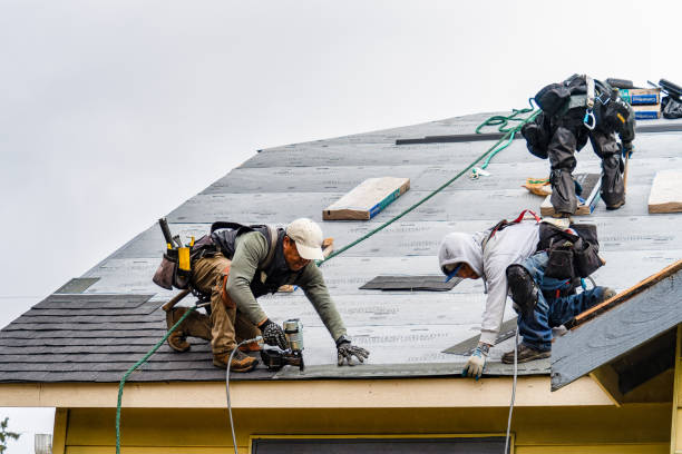 Professional Roofing technician working in Wolcott, VT